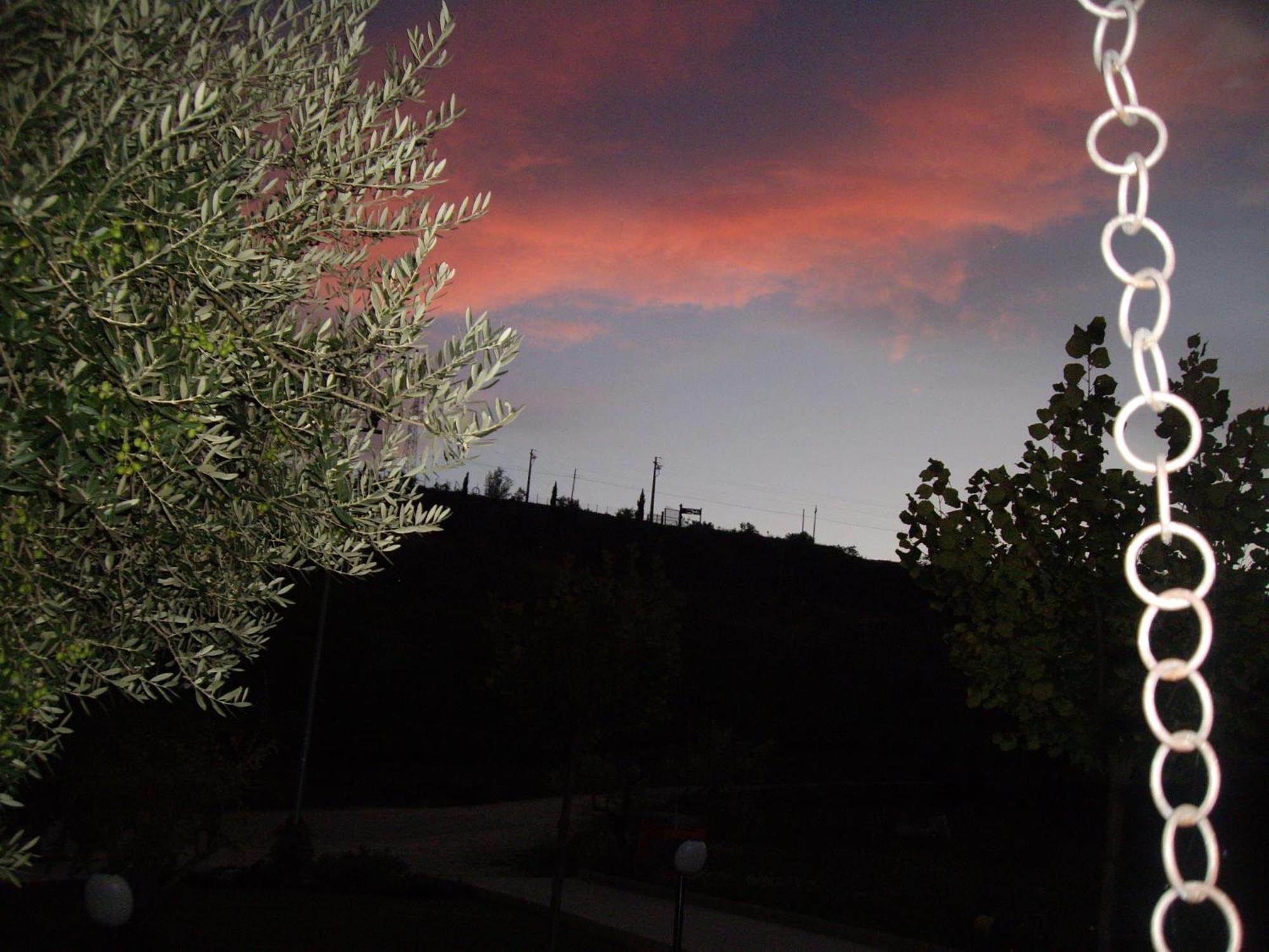Agriturismo Il Borgo Degli Ulivi Roseto Degli Abruzzi Luaran gambar