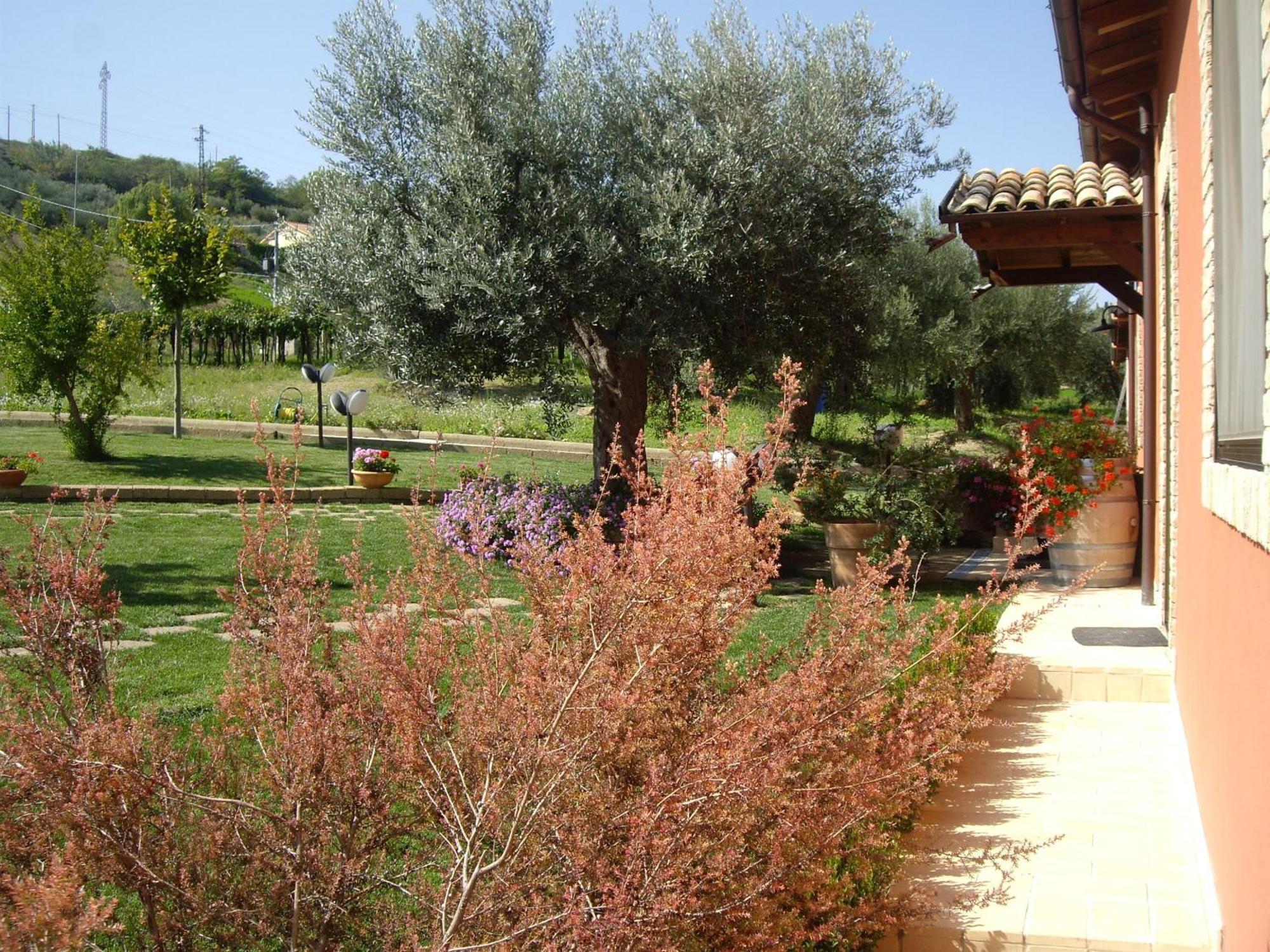 Agriturismo Il Borgo Degli Ulivi Roseto Degli Abruzzi Luaran gambar